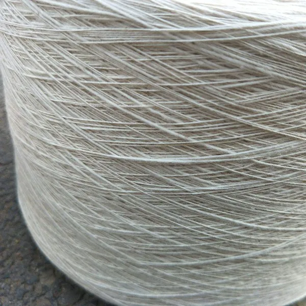 DM_20240204093812_002